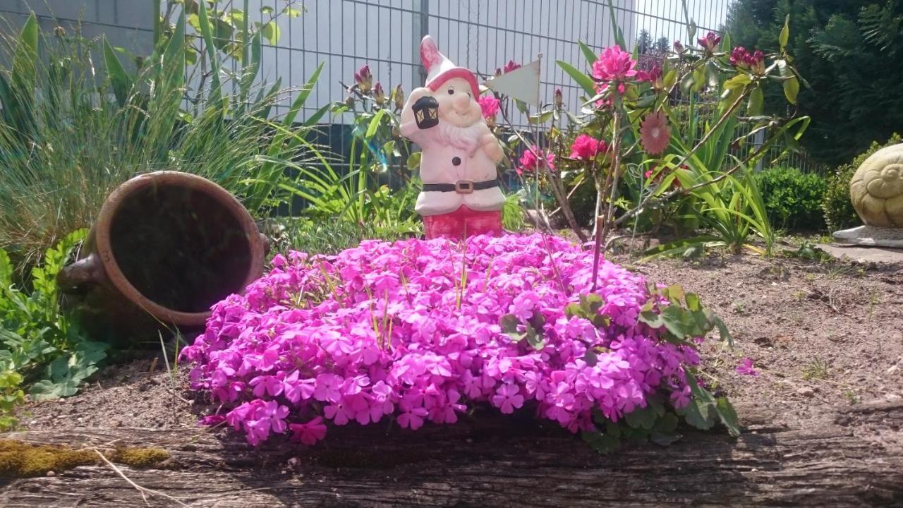Kleine Auszeit Waren (Mueritz) Bagian luar foto